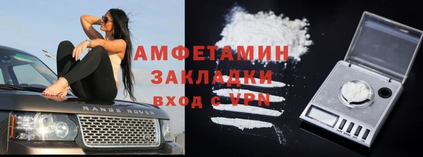 дмт Бородино