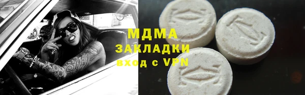 дмт Бородино