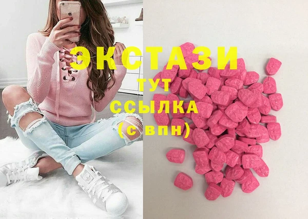 дмт Бородино