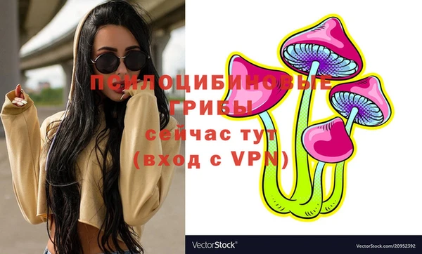 дмт Бородино