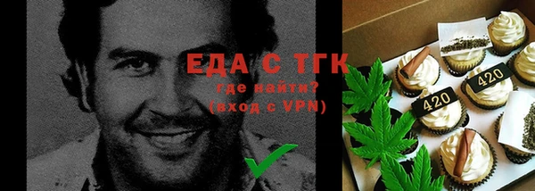 дмт Бородино