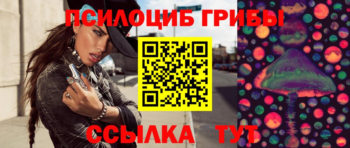 Псилоцибиновые грибы мицелий Всеволожск